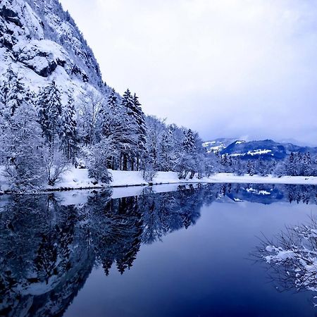 Ferienlounge Bluntausee Apartment Golling an der Salzach Exterior photo